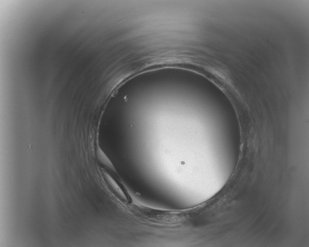 X0000067461273200604142315