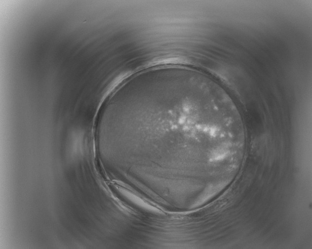 X0000067461274200604142315