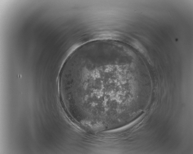 X0000067461275200604142315