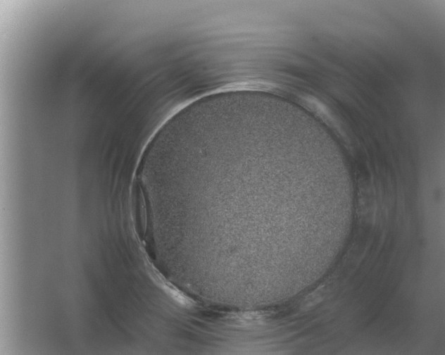 X0000067461276200604142315