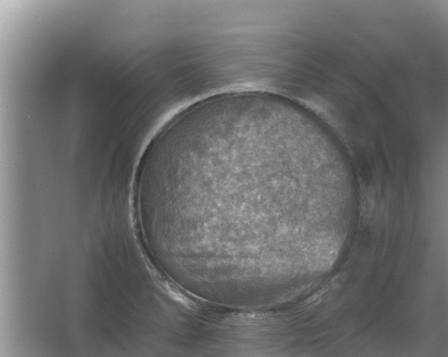 X0000067461278200604142315