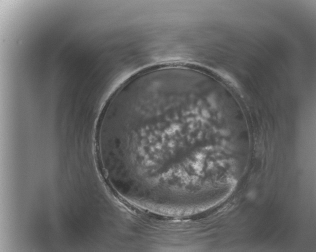 X0000067461279200604142315