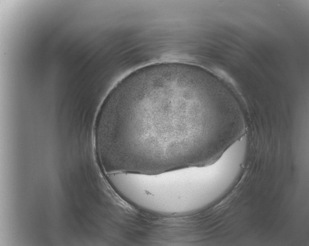 X0000067461280200604142315