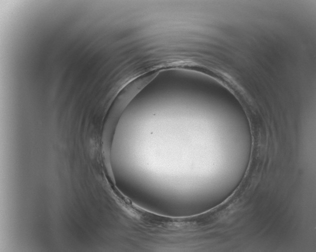 X0000067461281200604142315