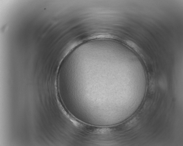 X0000067461282200604142315