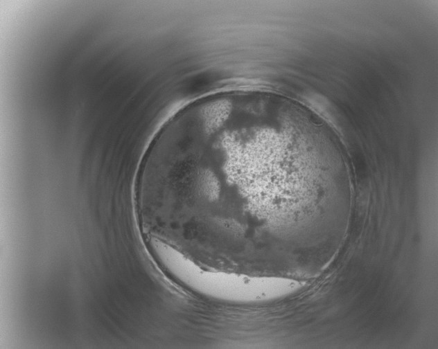 X0000067461283200604142315