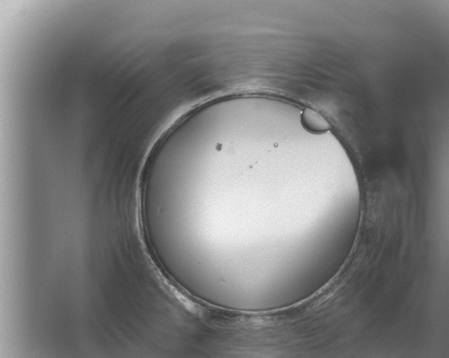 X0000067461286200604142315