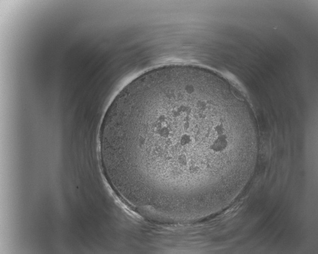 X0000067461287200604142315