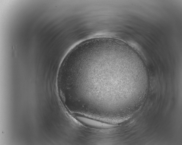 X0000067461288200604142315