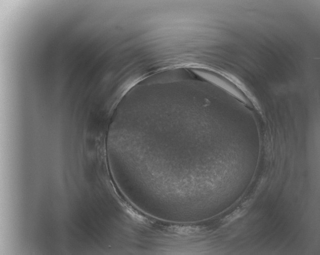 X0000067461289200604142315