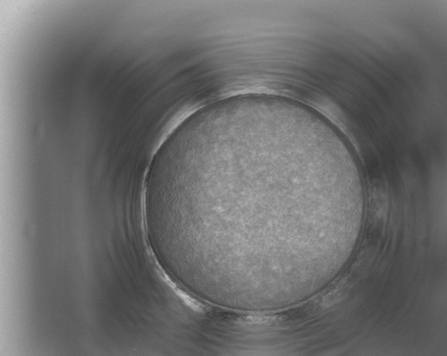 X0000067461290200604142315