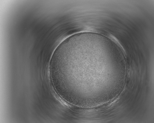 X0000067461292200604142315