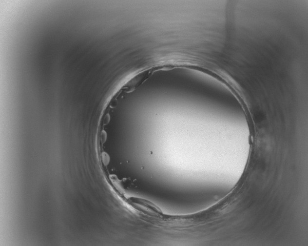 X0000067461293200604142315