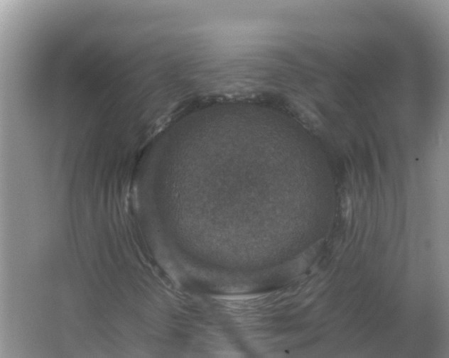 X0000067461298200604142314