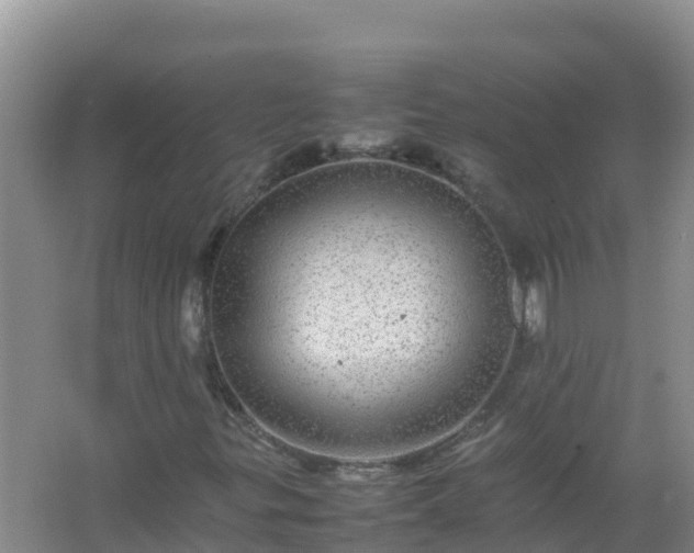 X0000067461299200604142314