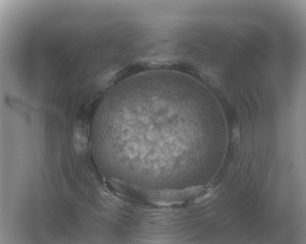 X0000067461300200604142314