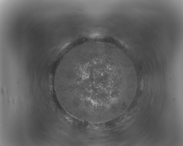 X0000067461301200604142314