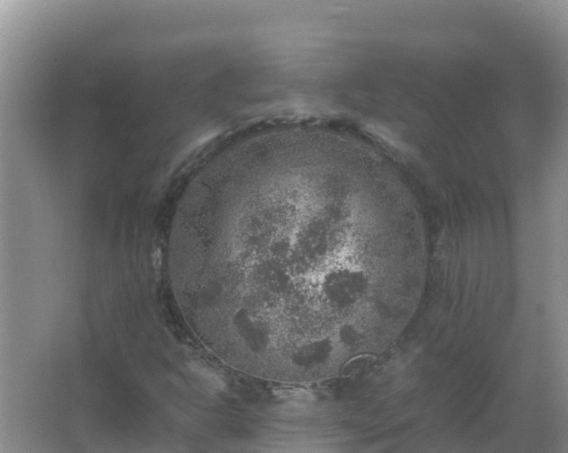 X0000067461302200604142314