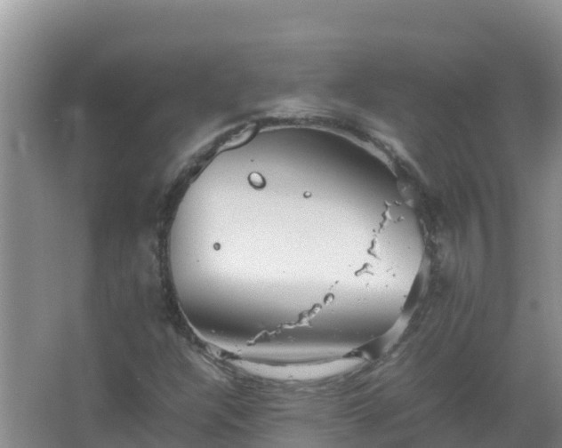 X0000067461304200604142314