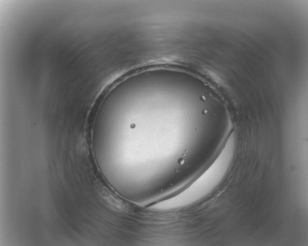 X0000067461308200604142314