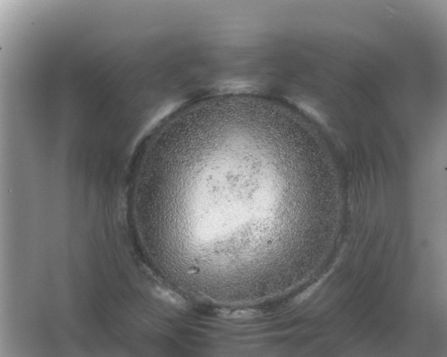 X0000067461309200604142314