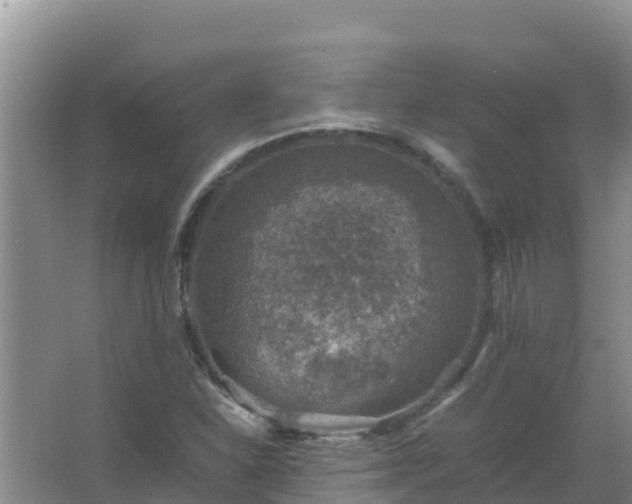 X0000067461310200604142314