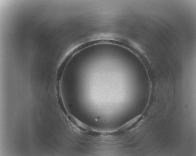 X0000067461312200604142314