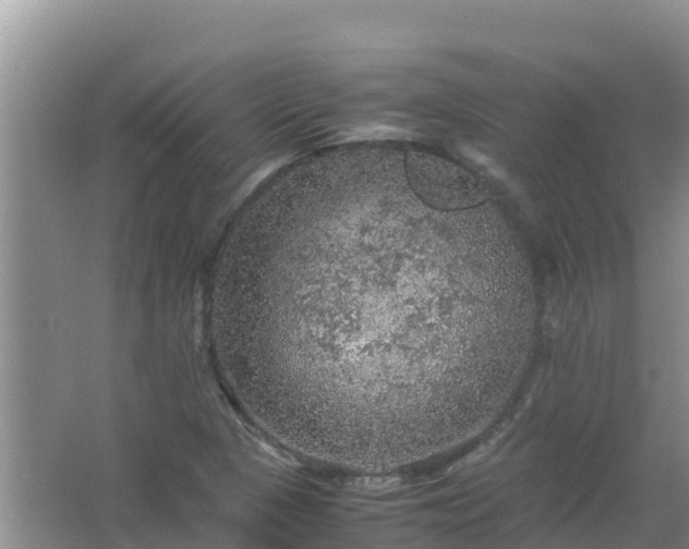 X0000067461313200604142314