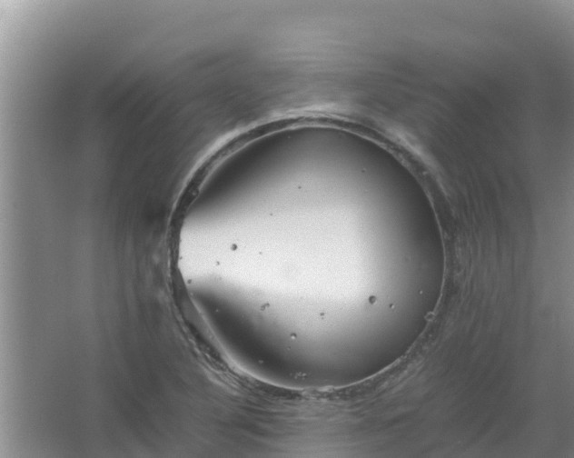 X0000067461316200604142314