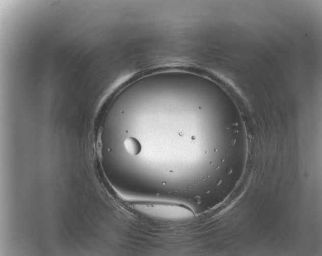 X0000067461317200604142314