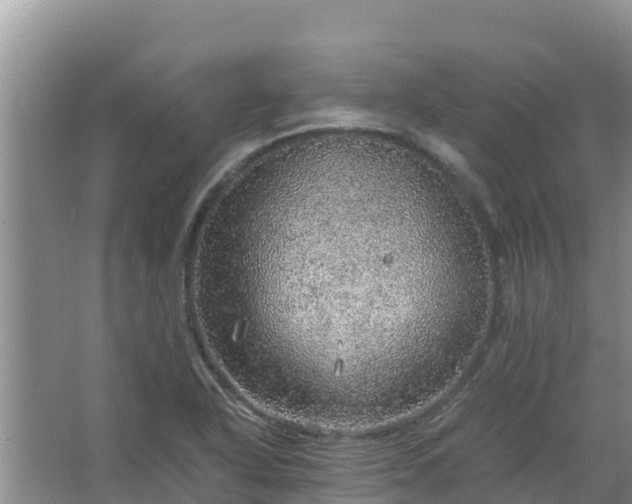 X0000067461318200604142314