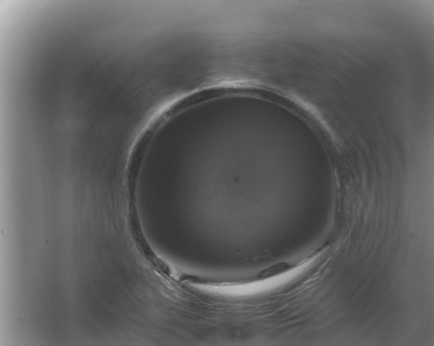 X0000067461319200604142314