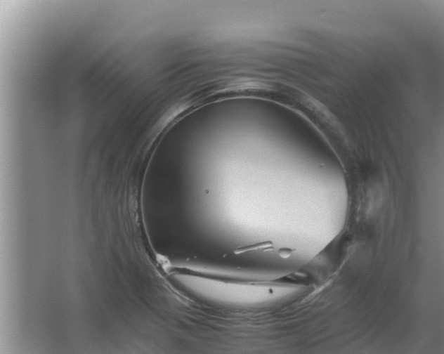 X0000067461321200604142314