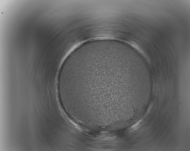 X0000067461325200604142314