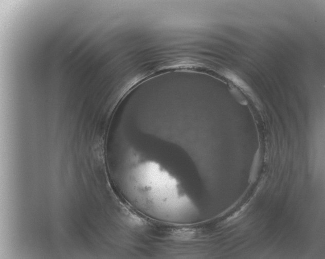 X0000067461329200604142315