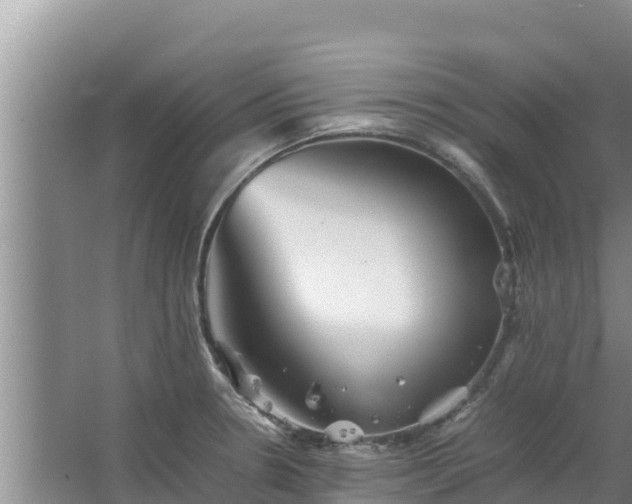 X0000067461330200604142315