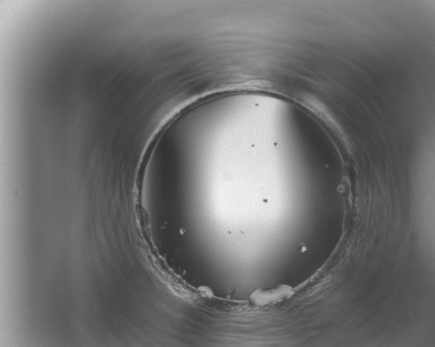 X0000067461332200604142315