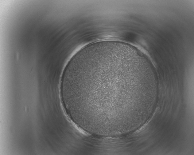 X0000067461333200604142315