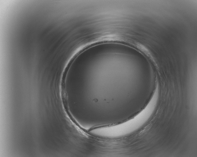 X0000067461334200604142315