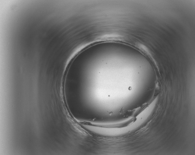 X0000067461336200604142315