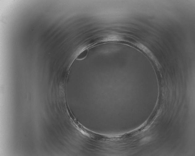 X0000067461337200604142315