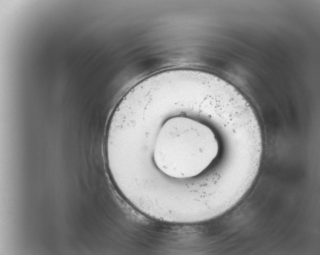 X0000067461338200604142315