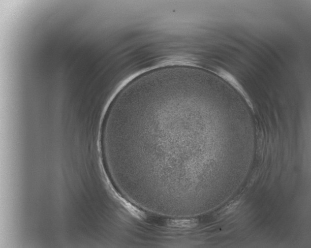 X0000067461339200604142315