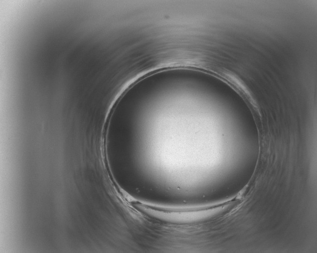 X0000067461340200604142315