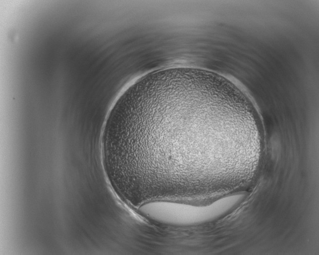 X0000067461341200604142315