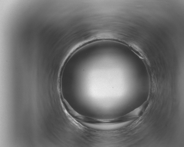 X0000067461342200604142315