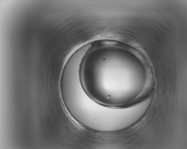 X0000067461344200604142315