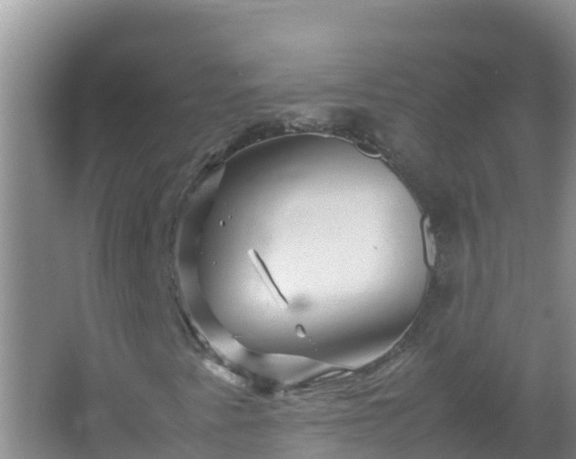 X0000067461345200604142314