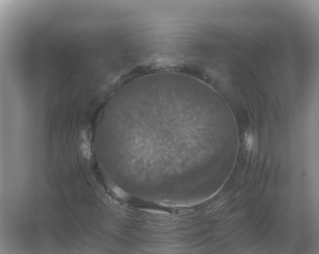 X0000067461348200604142314