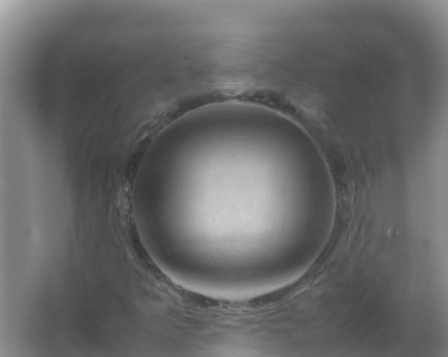 X0000067461349200604142314